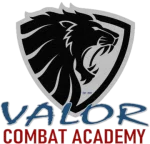 Valor_Logo_Blue_360x